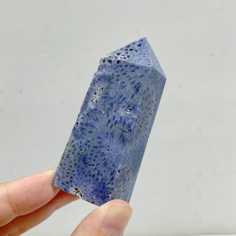 Blue Ridge Coral Heliopora Coerule Tower Point Wholesale -Wholesale Crystals
