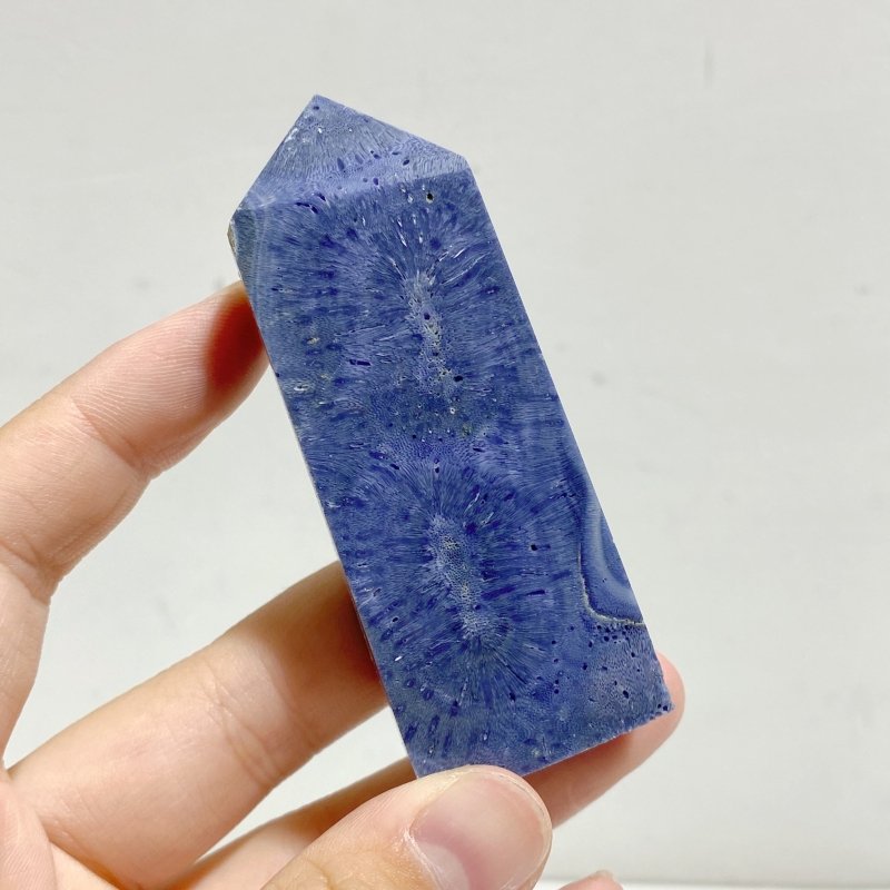 Blue Ridge Coral Heliopora Coerule Tower Point Wholesale -Wholesale Crystals