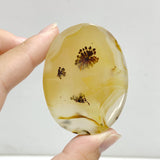 13 Pieces Natural Rare Scenic Dendritic Agate Stone