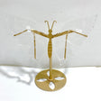 Clear Quartz Butterfly Wing Carving With Stand -Wholesale Crystals