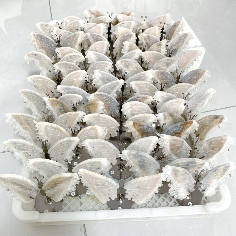 Clear Quartz Cluster Butterfly Wing With Stand Wholesale -Wholesale Crystals