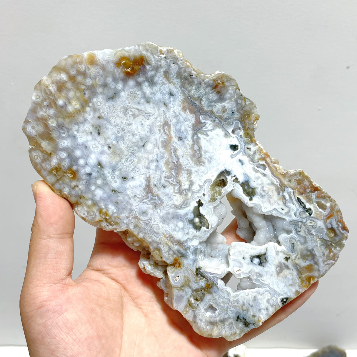 11 Pieces 6th Vein Ocean Jasper Slab