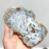 11 Pieces 6th Vein Ocean Jasper Slab