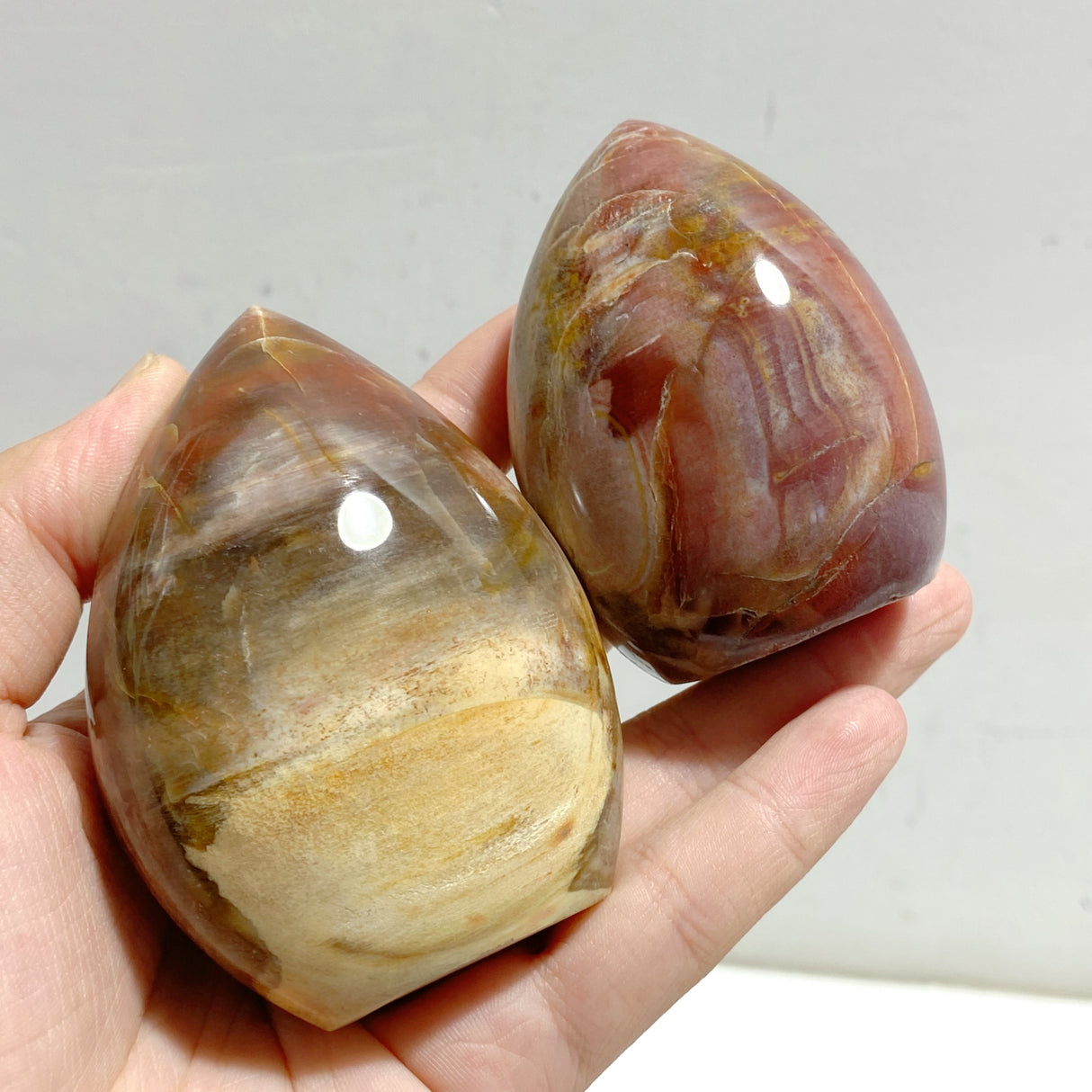20 Pieces Petrified Wood Stone Arrow Head Shape