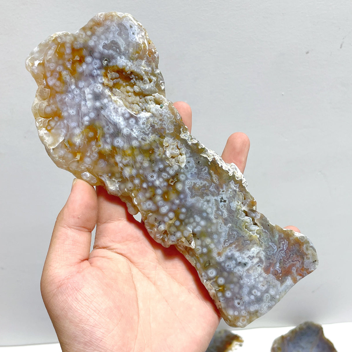 11 Pieces 6th Vein Ocean Jasper Slab
