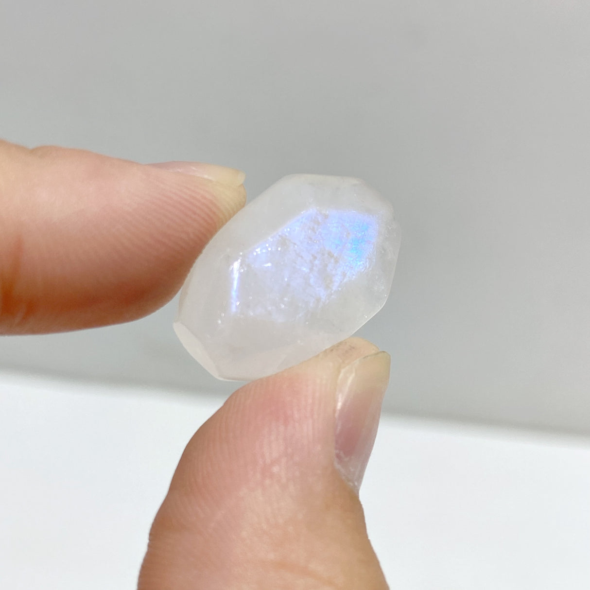 Small High Quality Blue Moonstone Free Form Wholesale