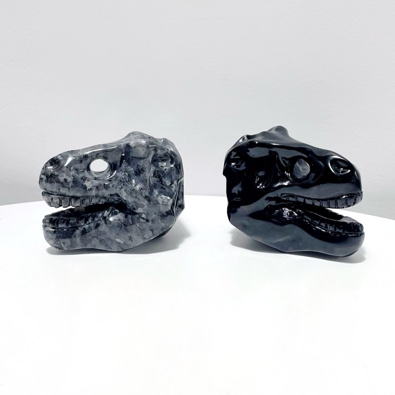 Dinosaur Skull Carving Wholesale Obsidian Larvikite - Wholesale Crystals