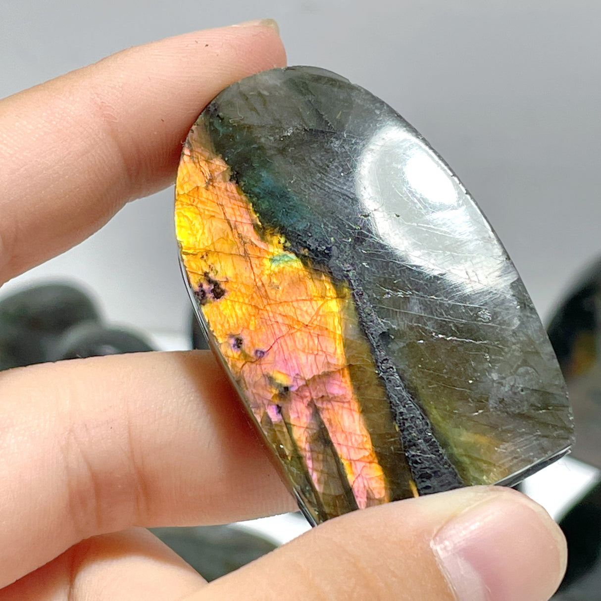 33 Pieces Labradorite High Quality Polished Free Form