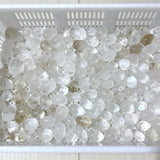 139 Pieces Clear Quartz Eggs (Sea Freight Only)