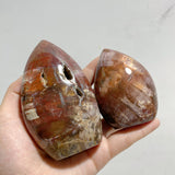 15 Pieces Petrified Wood Stone Arrow Head Shape