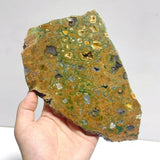 11 Pieces Peacock Eye Rain Forest Jasper Slab