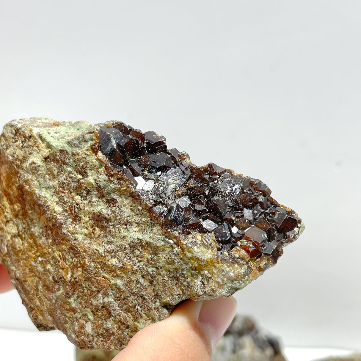 11 Pieces Raw Garnet Specimen For Collection