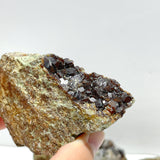11 Pieces Raw Garnet Specimen For Collection