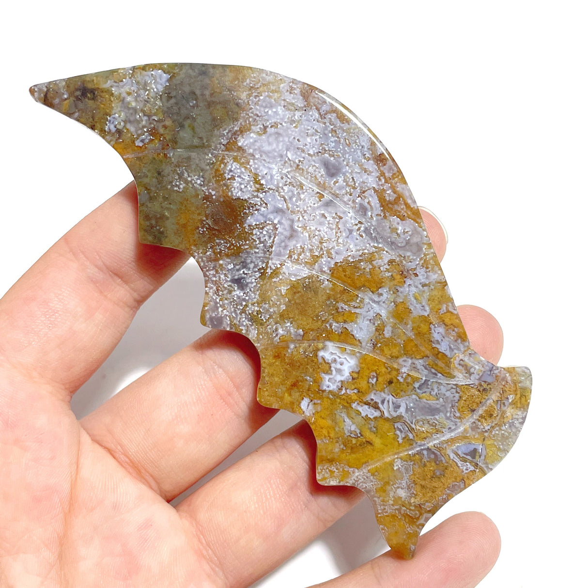 6 Pairs Ocean Jasper Flying Dragon Wing With Stand