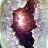 Unique Amethyst Mixed Geode Druzy Agate Dinosaur Egg Home Decor With Stand