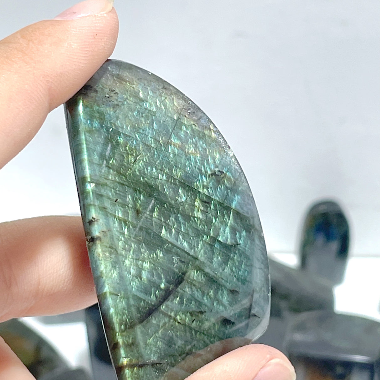 33 Pieces Labradorite High Quality Polished Free Form