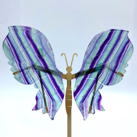 Fluorite Symmetry Butterfly Wing With Stand - Wholesale Crystals