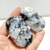 India Moonstone Palm Wholesale - Wholesale Crystals