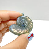 Labradorite Conch Carving Wholesale - Wholesale Crystals