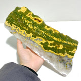 Large 8th Vein Ocean Jasper Slab With Stand 10 - Wholesale Crystals