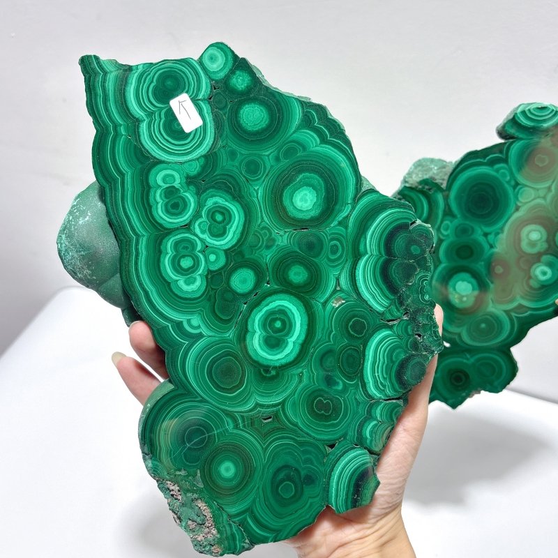 Large Polished Malachite Raw Slab Butterfly Wing With Stand（#8） - Wholesale Crystals