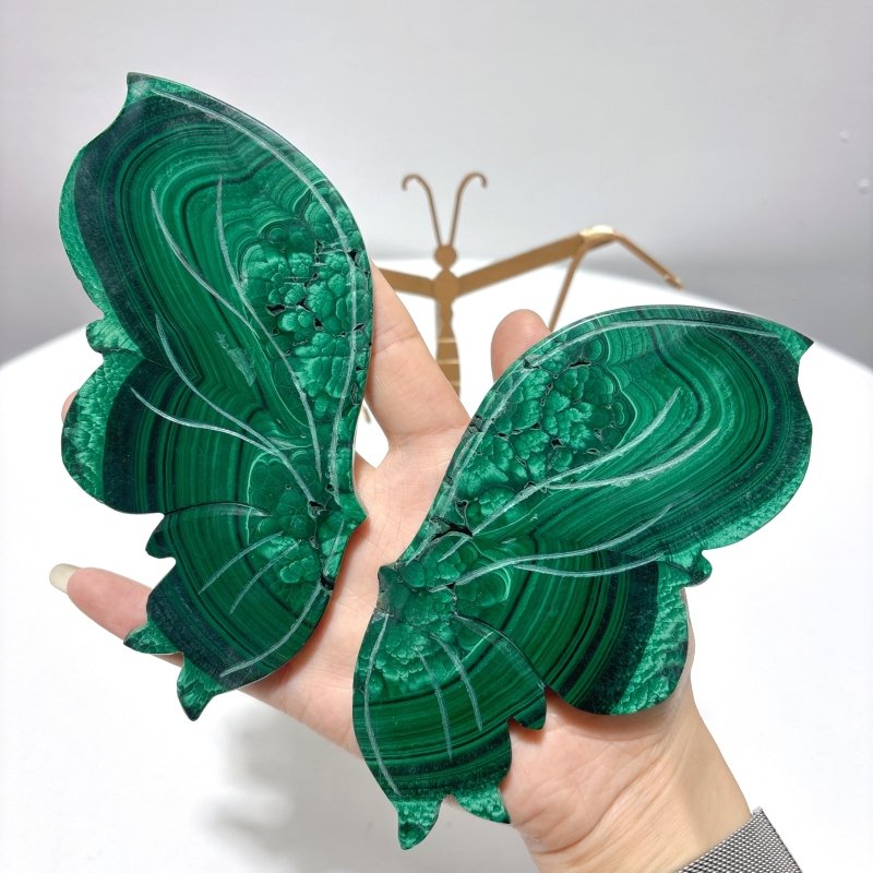 Malachite Butterfly Wing Crystal Carving With Stand - Wholesale Crystals