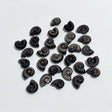 Mini Silver Sheen Obsidian Conch Carving Wholesale -Wholesale Crystals