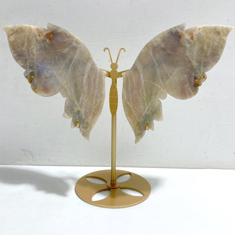 Moonstone Butterfly Wing Carving With Stand -Wholesale Crystals