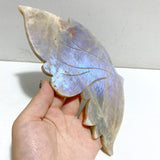 Moonstone Butterfly Wing Carving With Stand -Wholesale Crystals