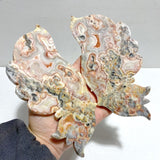 Morocco Agate Butterfly Wing Carving With Stand - Wholesale Crystals