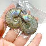 Natural Ammonite Fossil Conch Pendants Wholesale - Wholesale Crystals