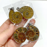 Natural Ammonite Fossil Conch Pendants Wholesale - Wholesale Crystals