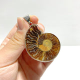 Natural Ammonite Fossil Conch Pendants Wholesale - Wholesale Crystals