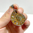 Natural Ammonite Fossil Conch Pendants Wholesale - Wholesale Crystals