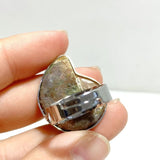 Natural Ammonite Fossil Conch Ring Wholesale - Wholesale Crystals
