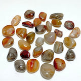 Natural Silk Agate Palm Stone Free Form Wholesale - Wholesale Crystals