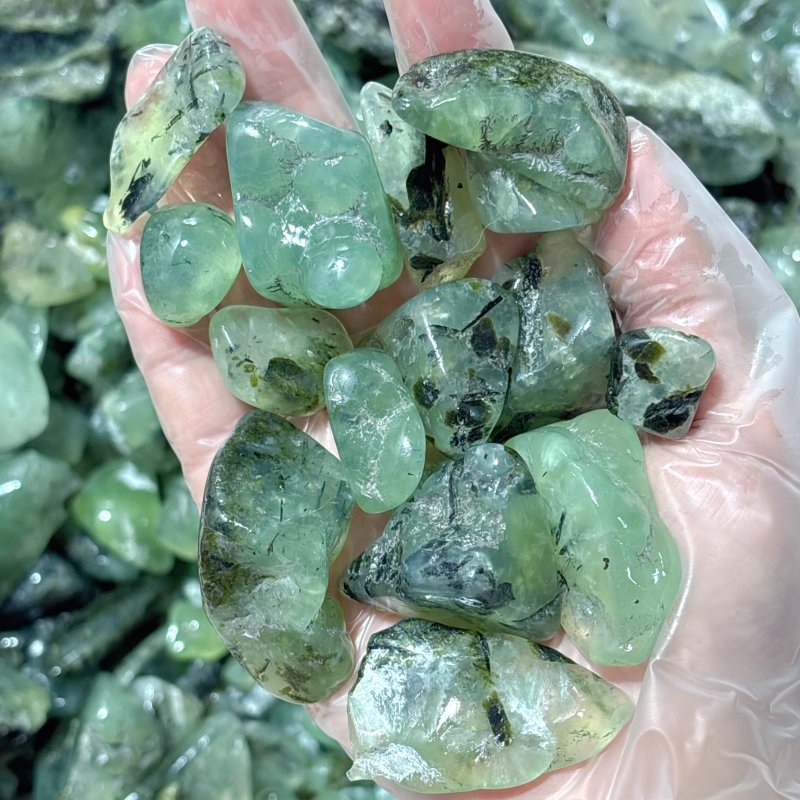 Polished Prehnite Gravel Chips Mixed Size Wholesale - Wholesale Crystals