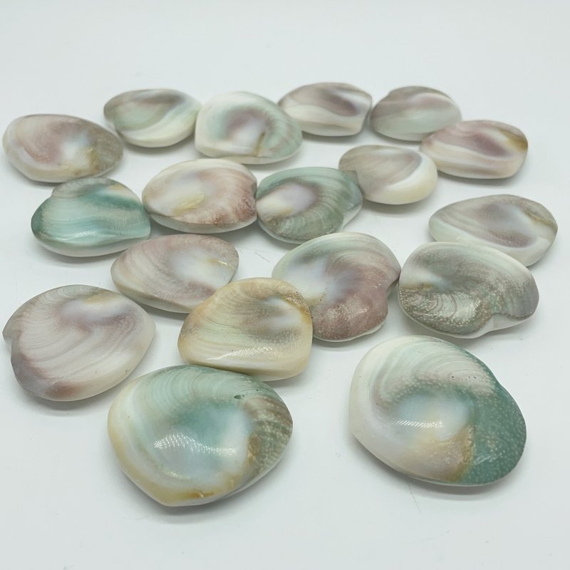 Polished Shell Fossil Heart Wholesale -Wholesale Crystals