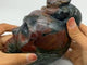 Unique Ocean Jasper Skull With Rabbit Carving -Wholesale Crystals