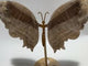 Blue Moonstone Mixed Sunstone Butterfly Carving With Stand