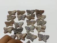 21 Pieces Sunstone Mixed Moonstone Butterfly Carving -Wholesale Crystals