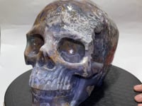 11.77kg(25.8lbs) Unique Large Ocean Jasper Geode Skull