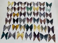 42 Pairs Rainbow Fluorite Butterfly Carving (A2BTF)