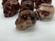 10 Pieces Carnelian Large Skull Carving