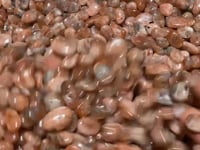 Sunstone Gravel Chips
