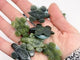 3 Types Beautiful Turtle Crystal Carving Wholesale Caribbean Calcite Chevron Amethyst