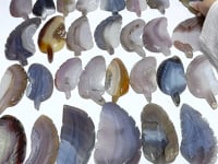 29 Pieces Beautiful Agate Feather Carving