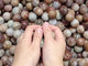Thousand Layer Garden Quartz Spheres Wholesale