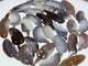 29 Pieces Geode Agate Feather Carving