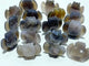 17 Pieces Geode Druzy Agate Owl Carving